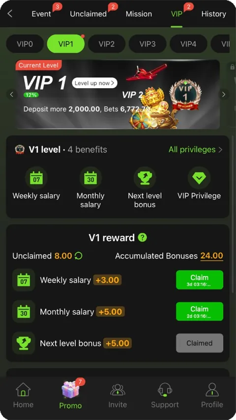 Y999 VIP 1 page listing weekly salary, monthly salary and next level bonus rewards